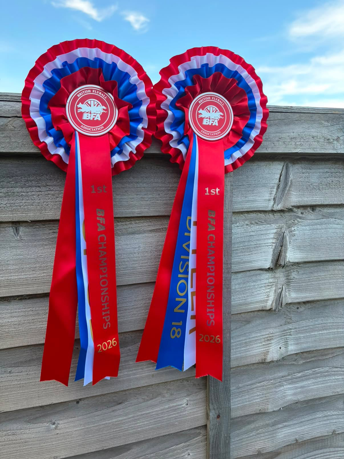 Personalised Rosettes