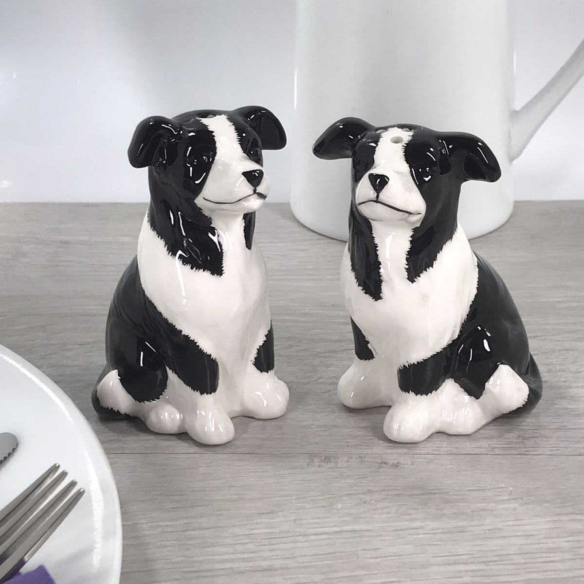 Border Collie design ceramic Salt & Pepper cruet set