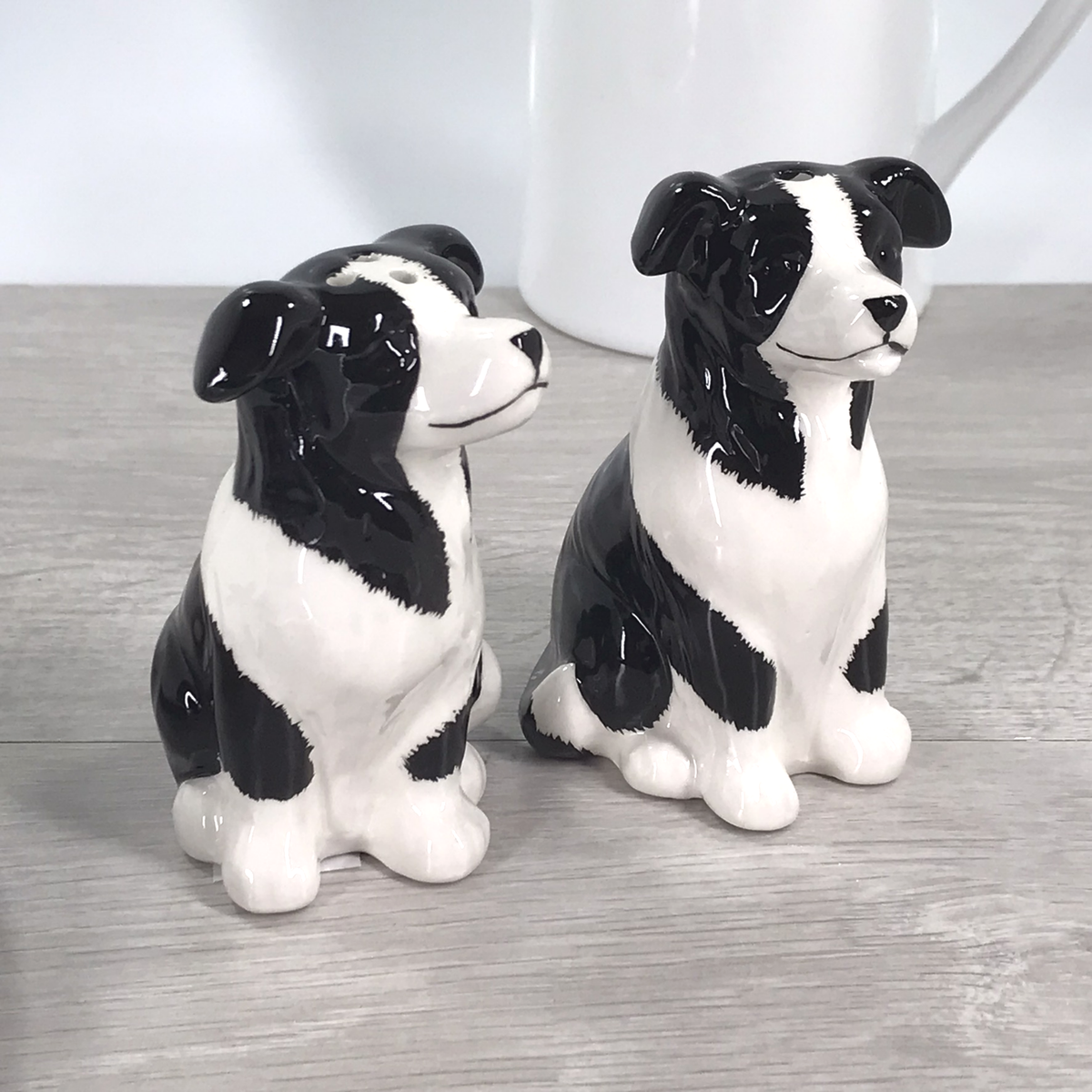 Border Collie design ceramic Salt & Pepper cruet set