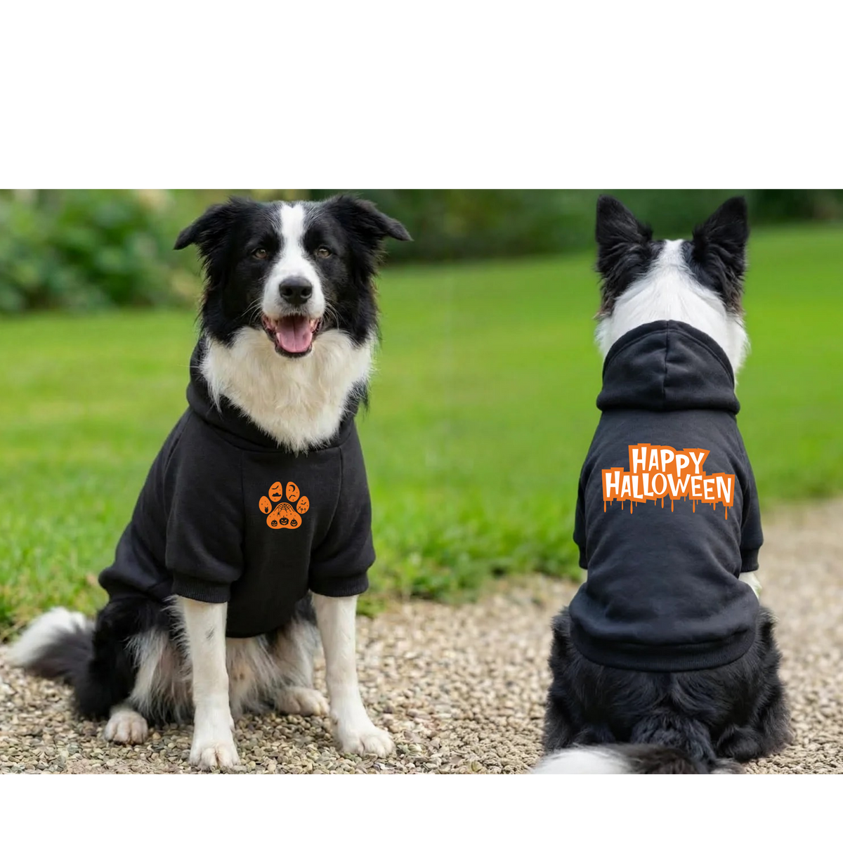 Limited Edition Halloween Pet hoodie - Available Online Only