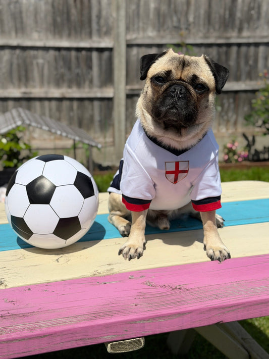 Limited Edition England Supporter Personalised Pet Shirt - Available Online Only