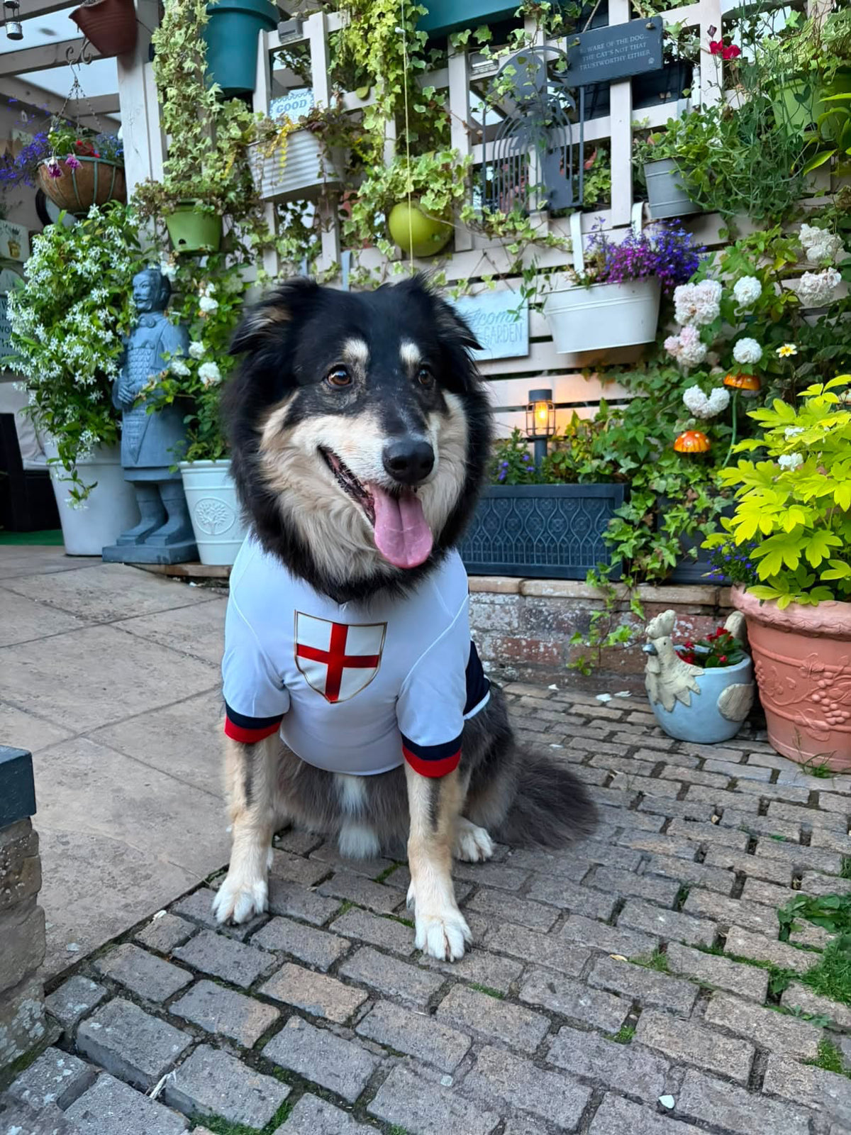 Limited Edition England Supporter Personalised Pet Shirt - Available Online Only