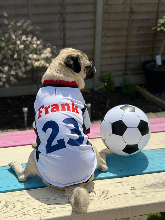Limited Edition England Supporter Personalised Pet Shirt - Available Online Only